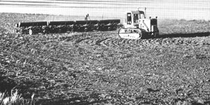 Hugo Aronson worked hard