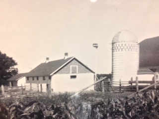 Dairy Farm